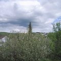 Webcam_20210519-164500