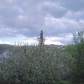 Webcam_20210519-184500
