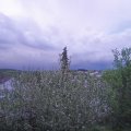 Webcam_20210519-194500