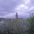Webcam_20210519-201500
