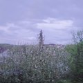 Webcam_20210519-203000