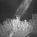 Webcam_20210519-214500