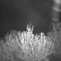 Webcam_20210519-220000