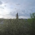 Webcam_20210521-053000