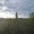 Webcam_20210521-054500