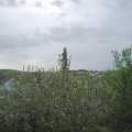 Webcam_20210521-083000