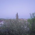 Webcam_20210521-203000