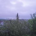 Webcam_20210522-051500