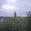 Webcam_20210522-060000