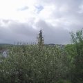 Webcam_20210522-064500