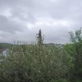 Webcam_20210522-073000