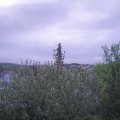 Webcam_20210523-050000