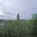 Webcam_20210523-053000