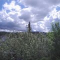 Webcam_20210523-101500