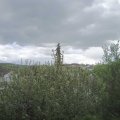 Webcam_20210523-120000