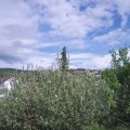 Webcam_20210525-151500