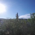Webcam_20210529-064500