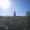 Webcam_20210529-073000