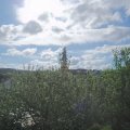 Webcam_20210529-081500