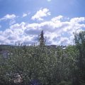 Webcam_20210529-094500