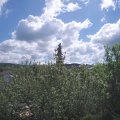 Webcam_20210529-101500