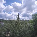 Webcam_20210529-104500