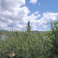 Webcam_20210529-114500