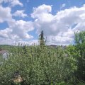 Webcam_20210529-121500