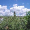 Webcam_20210529-131500