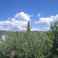 Webcam_20210529-134500
