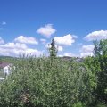 Webcam_20210529-141500