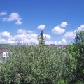 Webcam_20210529-143000