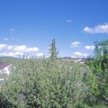 Webcam_20210529-164500