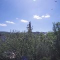 Webcam_20210531-094500