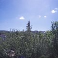 Webcam_20210531-100000
