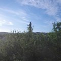 Webcam_20210603-054500