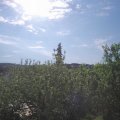 Webcam_20210603-081500