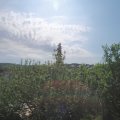 Webcam_20210603-090000