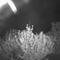 Webcam_20210603-214500