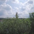 Webcam_20210610-104500