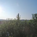 Webcam_20210611-063000