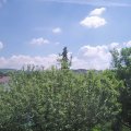 Webcam_20210611-113000