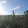Webcam_20210613-061500