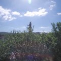 Webcam_20210613-091500
