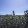 Webcam_20210613-103000
