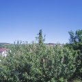 Webcam_20210613-150000
