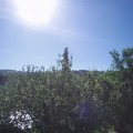 Webcam_20210614-081500