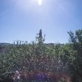Webcam_20210614-091500