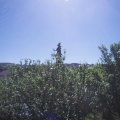 Webcam_20210614-094500