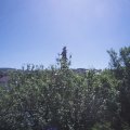Webcam_20210614-100000